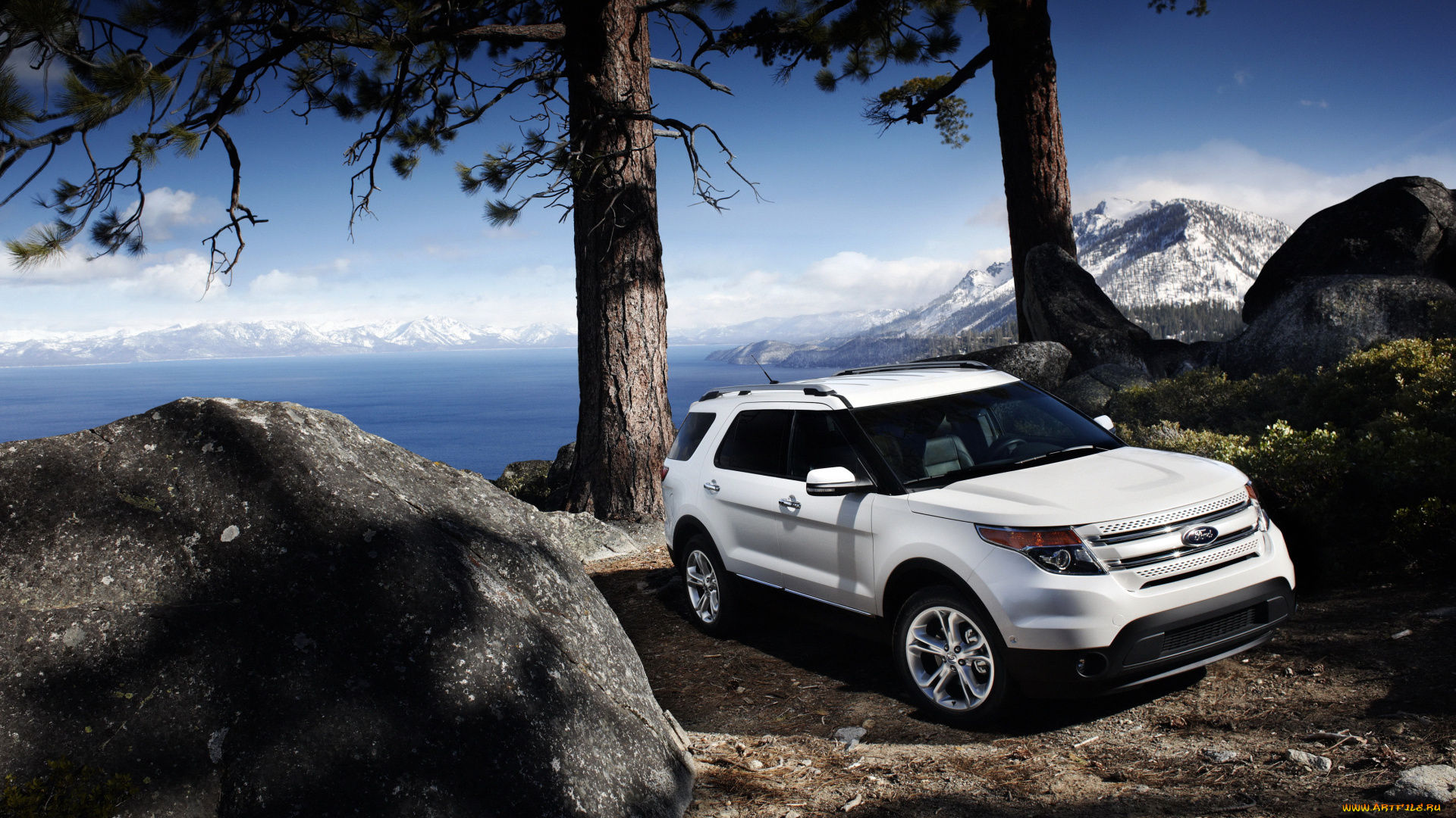 2011, ford, explorer, автомобили, ford, белый, explorer