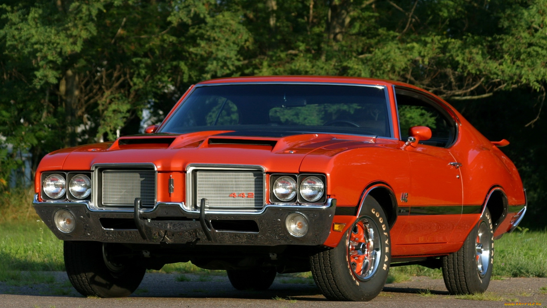 автомобили, oldsmobile, купе, кутласс, олдсмобиль, 1972, cutlass, 442, w-30, hardtop, coupe, фон, деревья, оранжевый, передок, muscle, car, мускул, кар