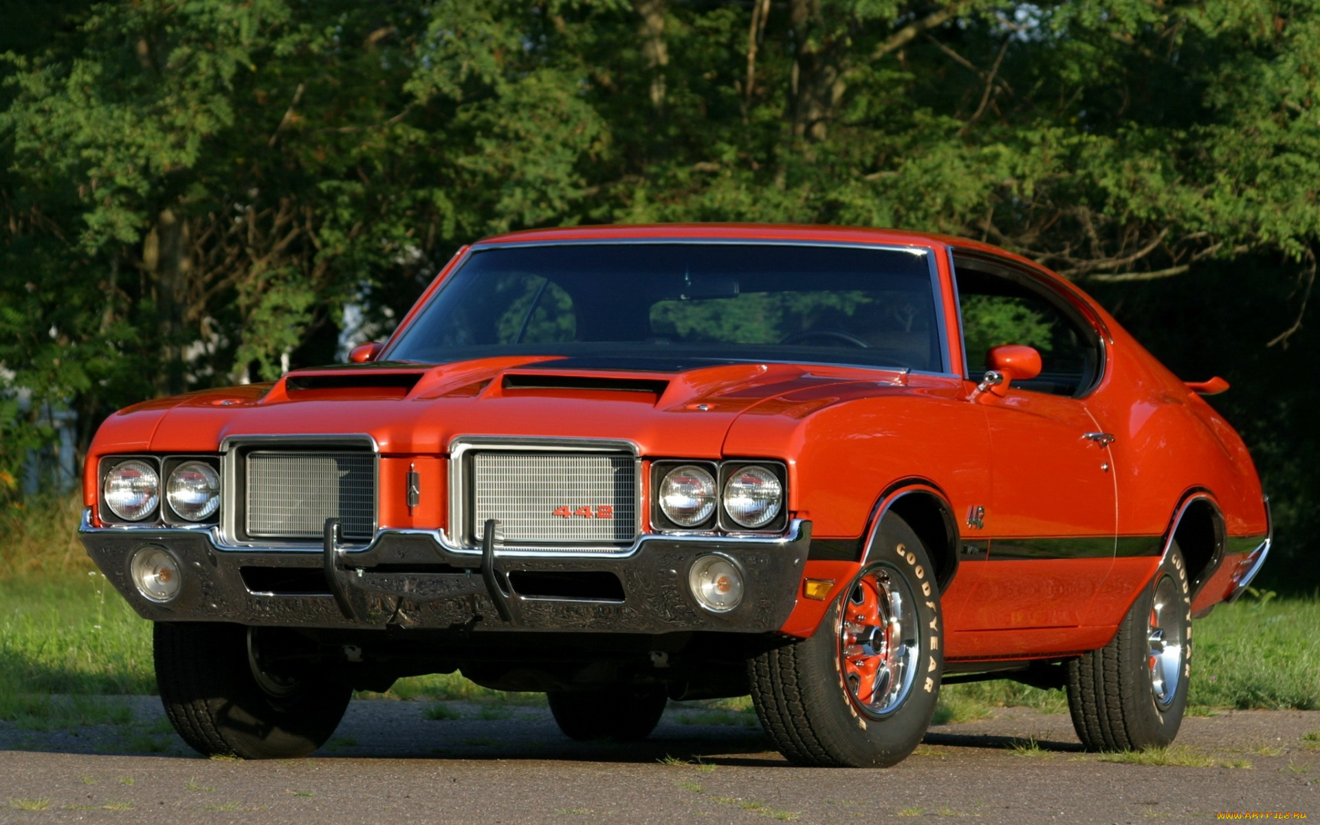 автомобили, oldsmobile, купе, кутласс, олдсмобиль, 1972, cutlass, 442, w-30, hardtop, coupe, фон, деревья, оранжевый, передок, muscle, car, мускул, кар