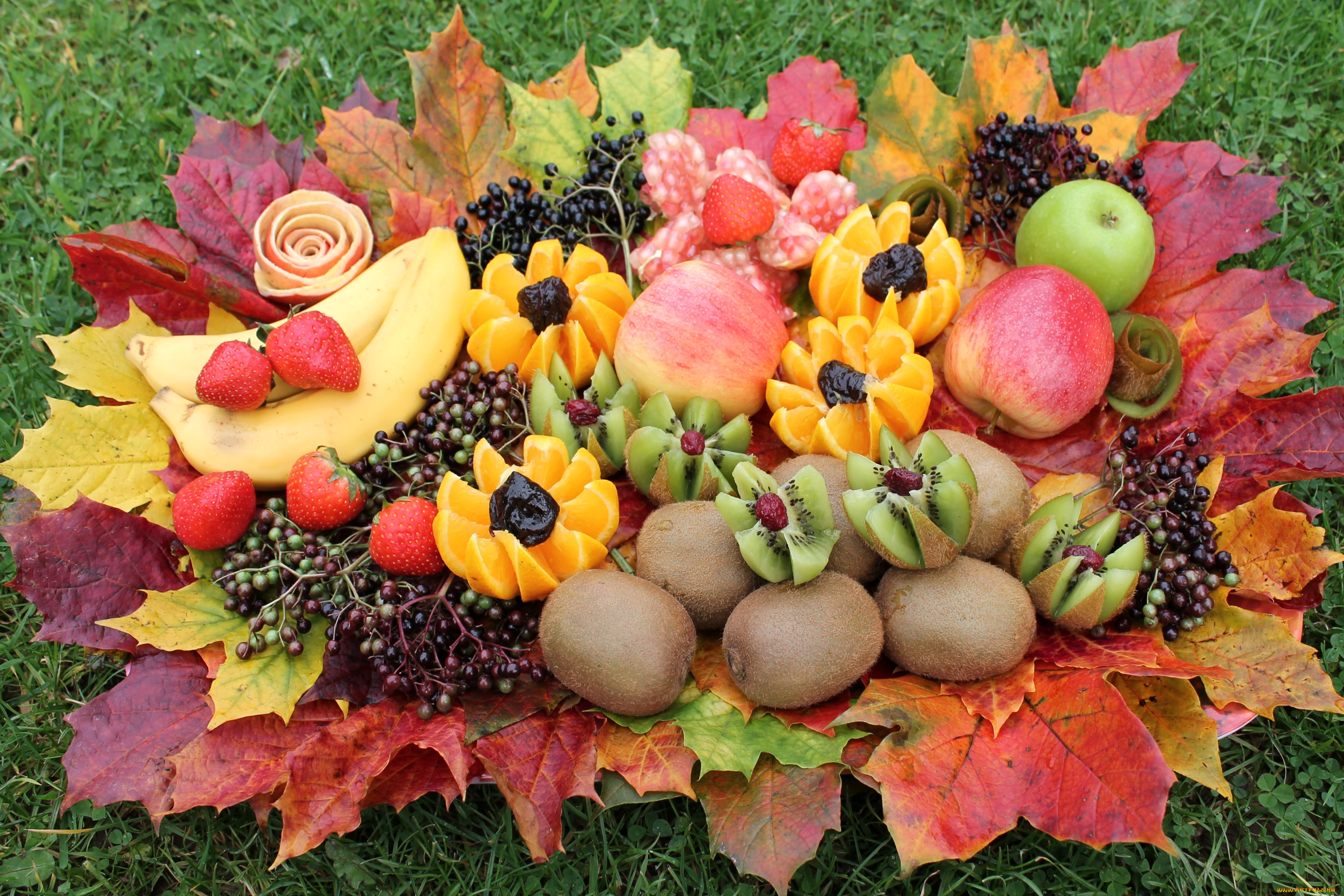 еда, фрукты, , ягоды, осень, бузина, апельсин, богатство, киви, яблоки, банан