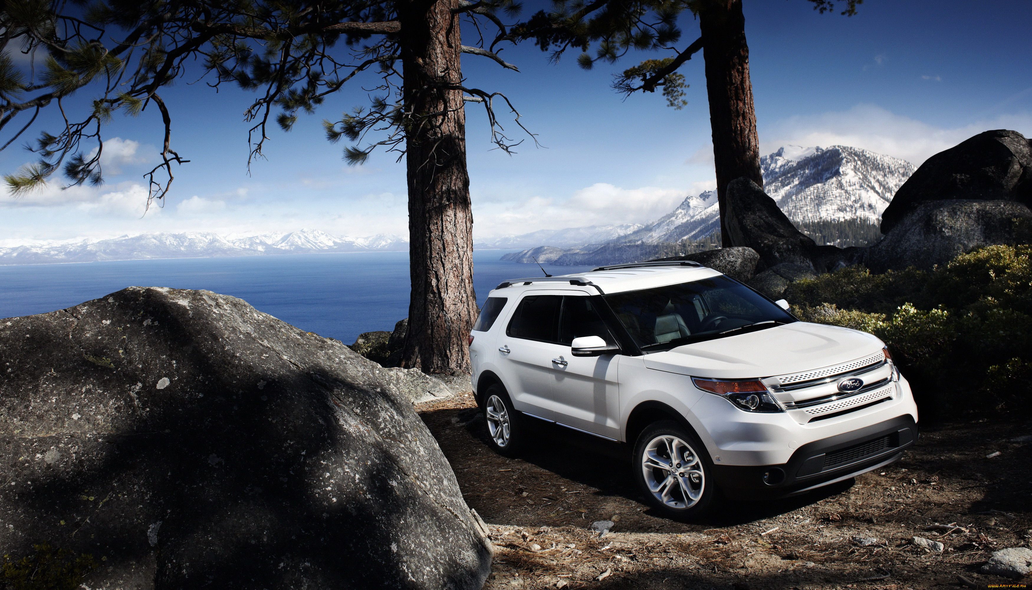 2011, ford, explorer, автомобили, ford, белый, explorer