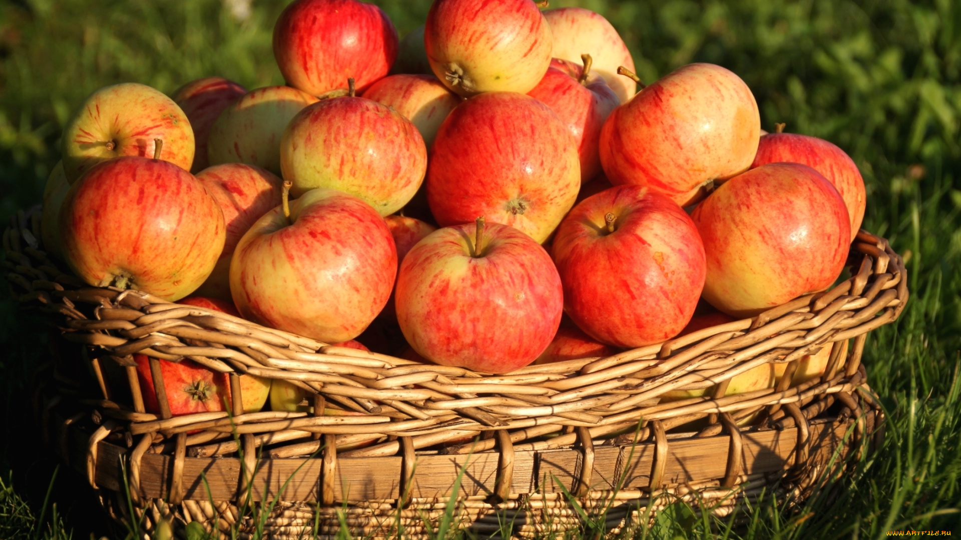 еда, Яблоки, плоды, яблоки, корзина