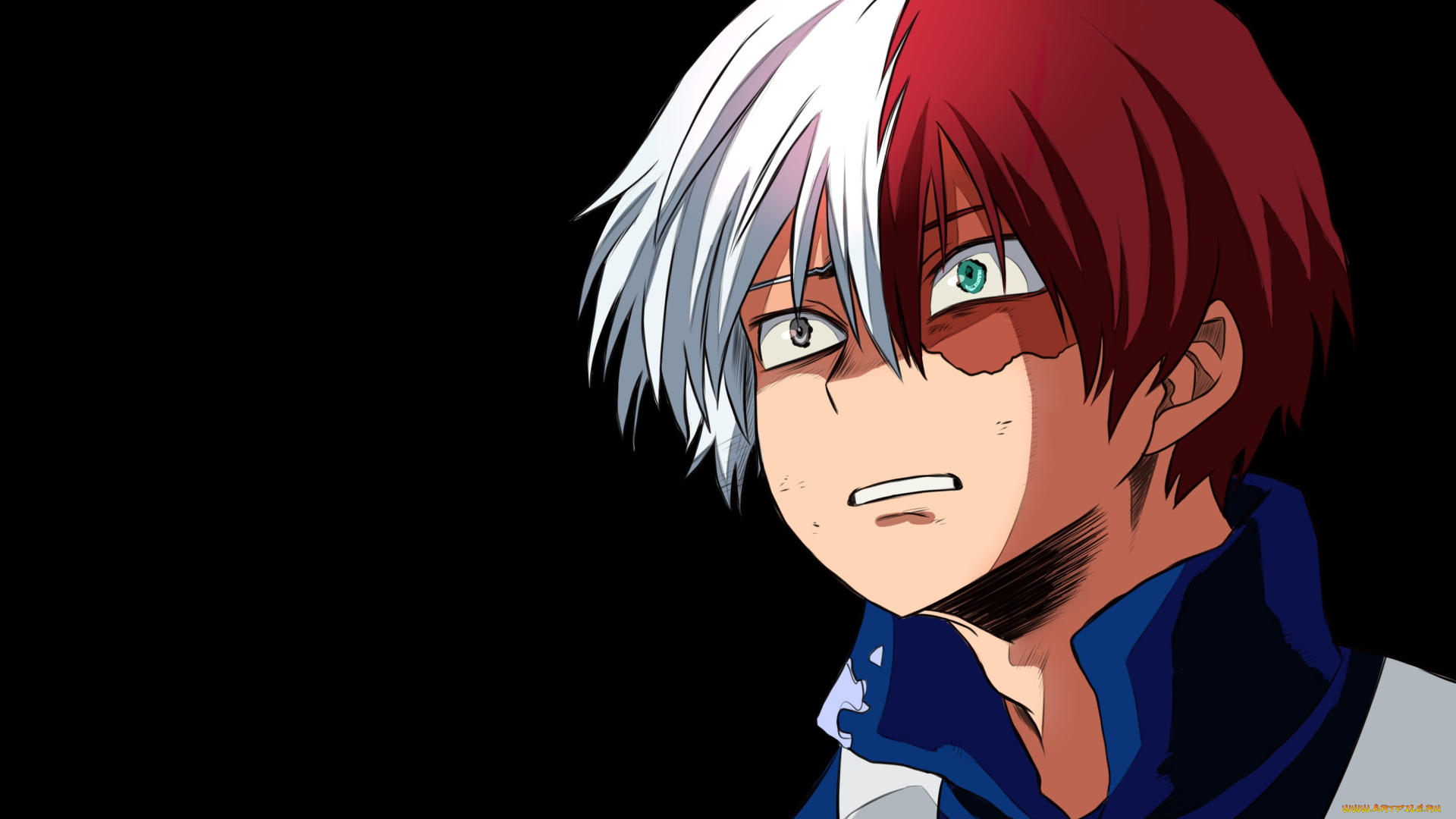 аниме, boku, no, hero, academia, todoroki, shouto