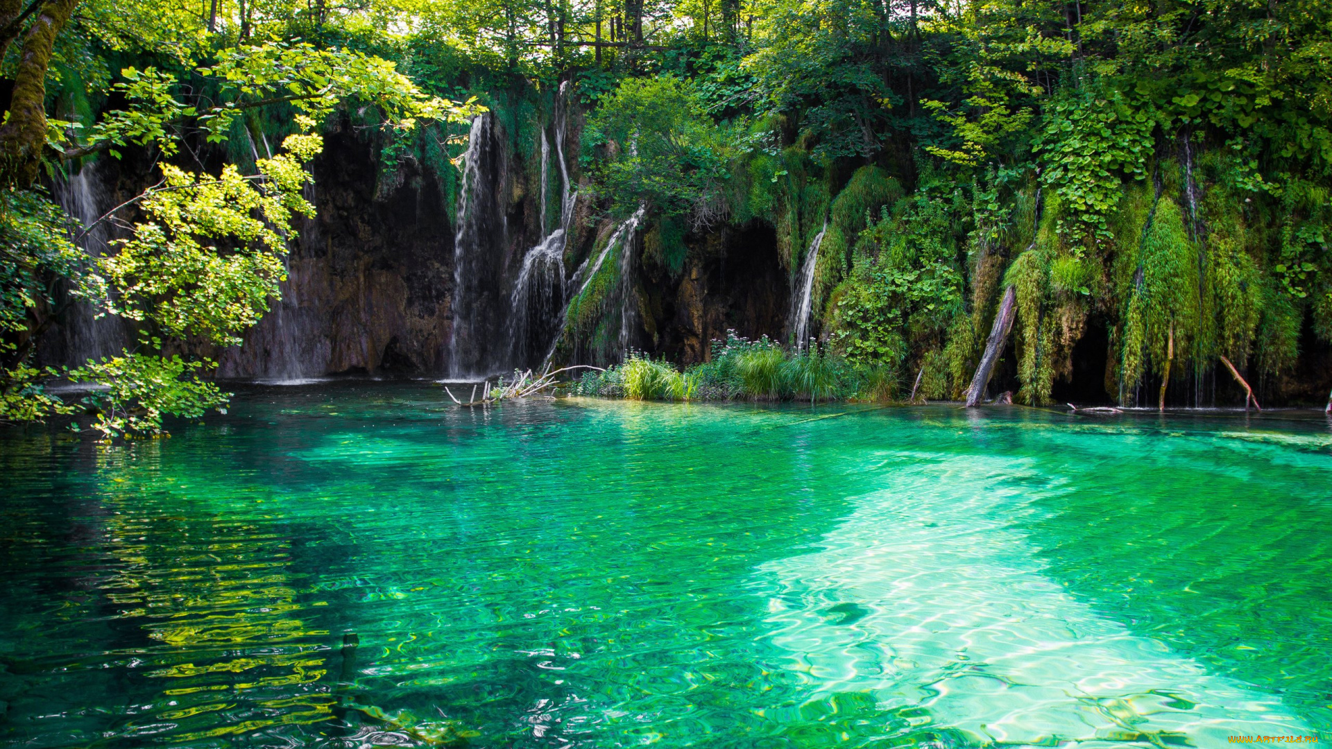 природа, водопады, плитвицкие, озера, хорватия, тропики, водопад, лес, озеро, вода