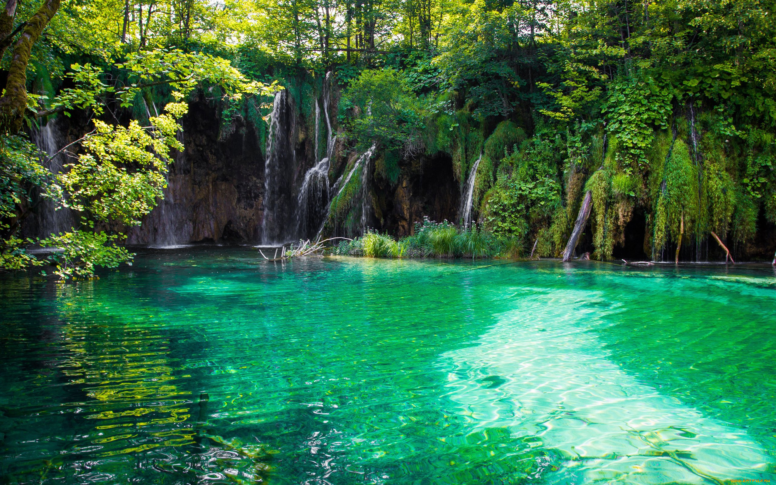 природа, водопады, плитвицкие, озера, хорватия, тропики, водопад, лес, озеро, вода