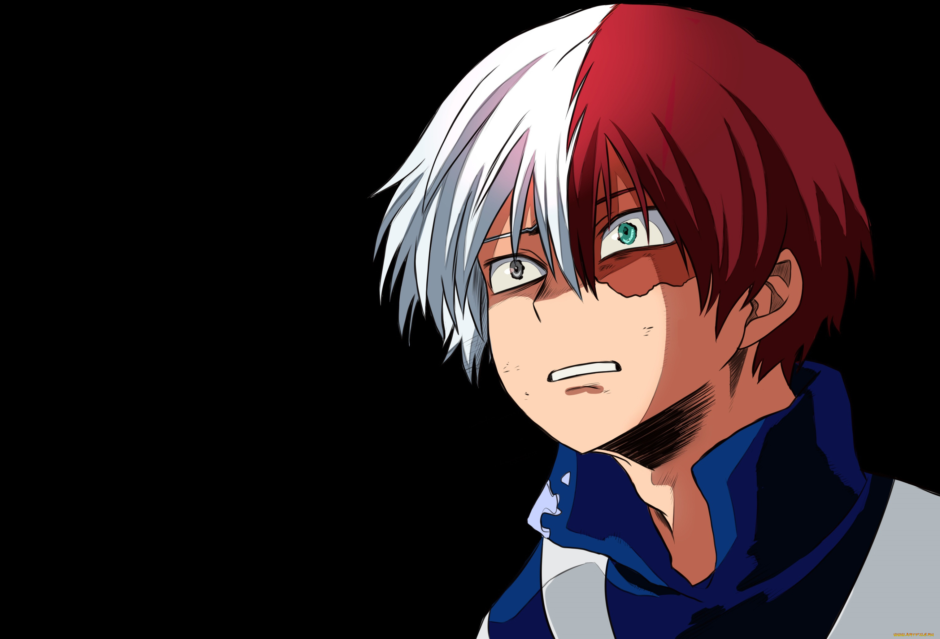 аниме, boku, no, hero, academia, todoroki, shouto