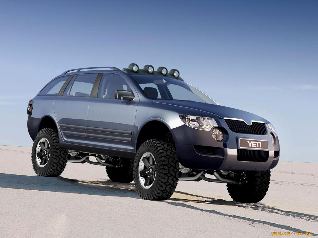 автомобили, skoda