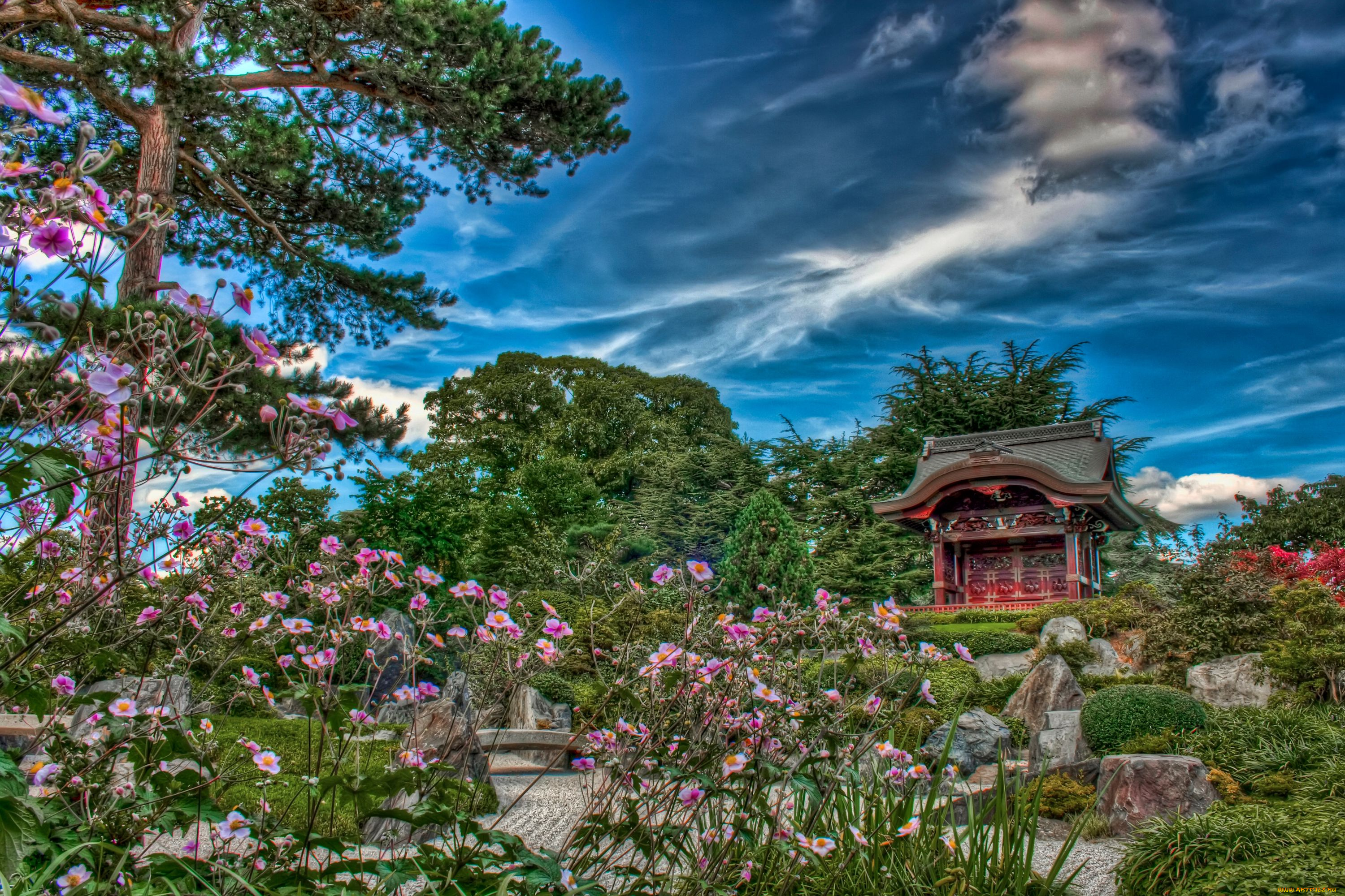 japanese, garden, in, kew, london, природа, парк