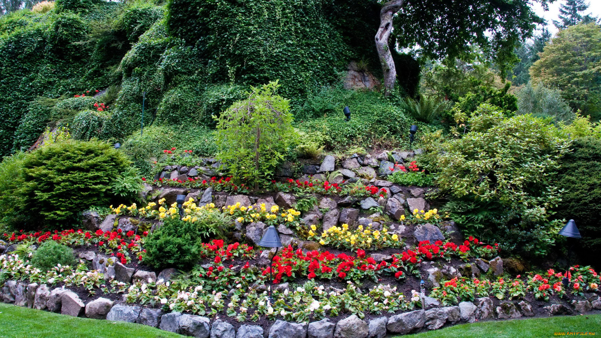 butchart, gardens, canada, природа, парк, клумба, цветы