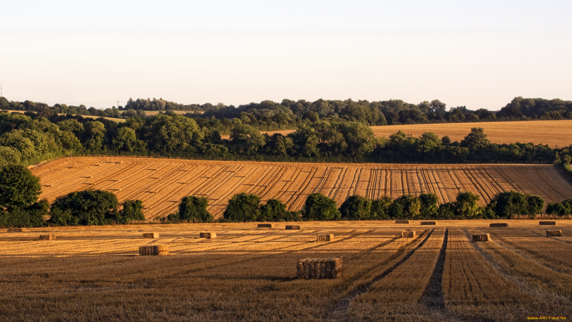 hampshire, англия, природа, поля, трава, сено