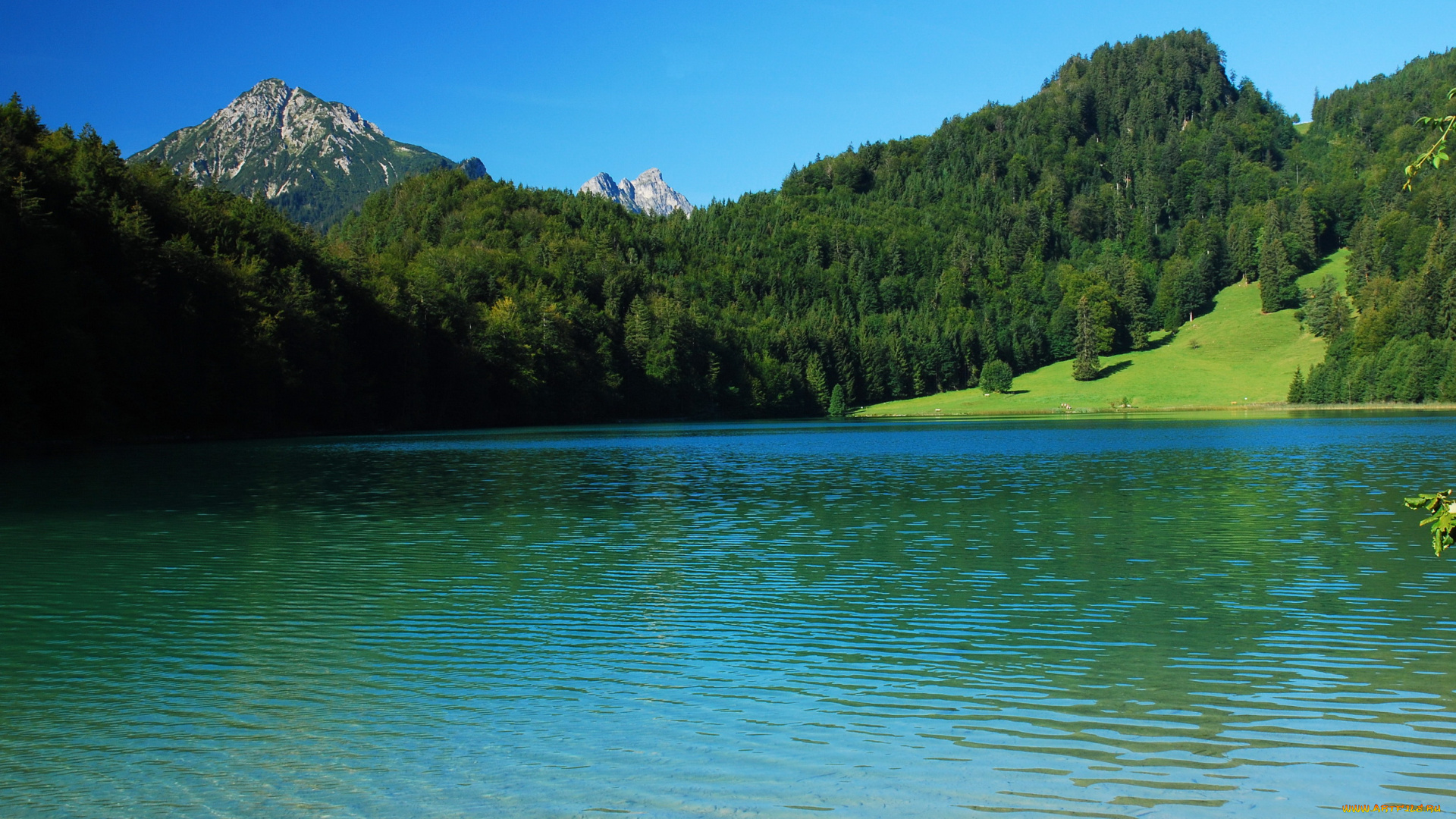 schwangau, германия, природа, реки, озера, горы, озеро