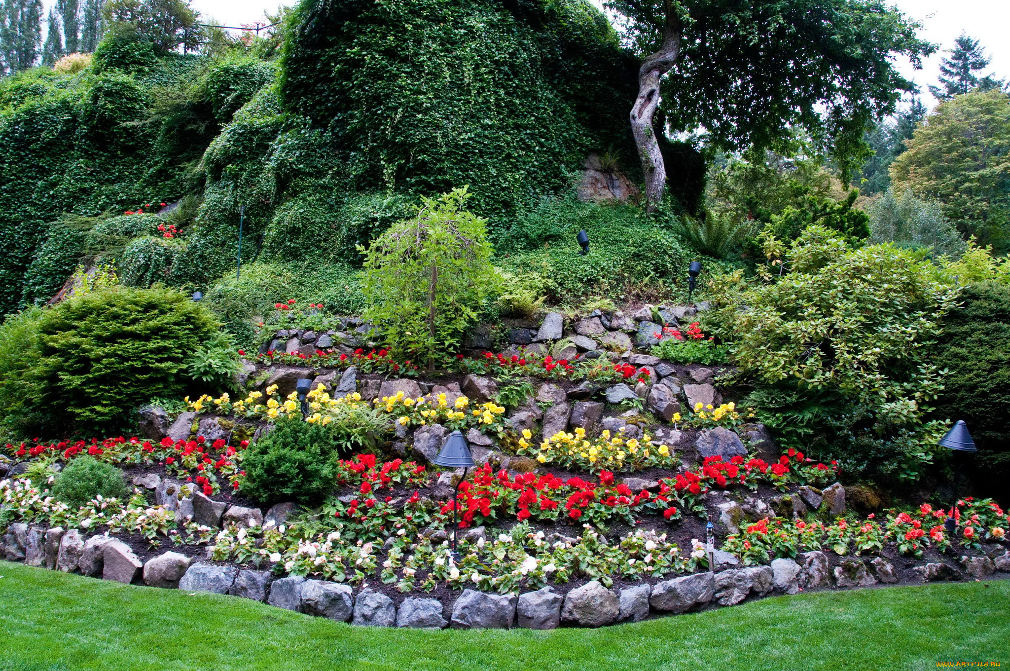 butchart, gardens, canada, природа, парк, клумба, цветы