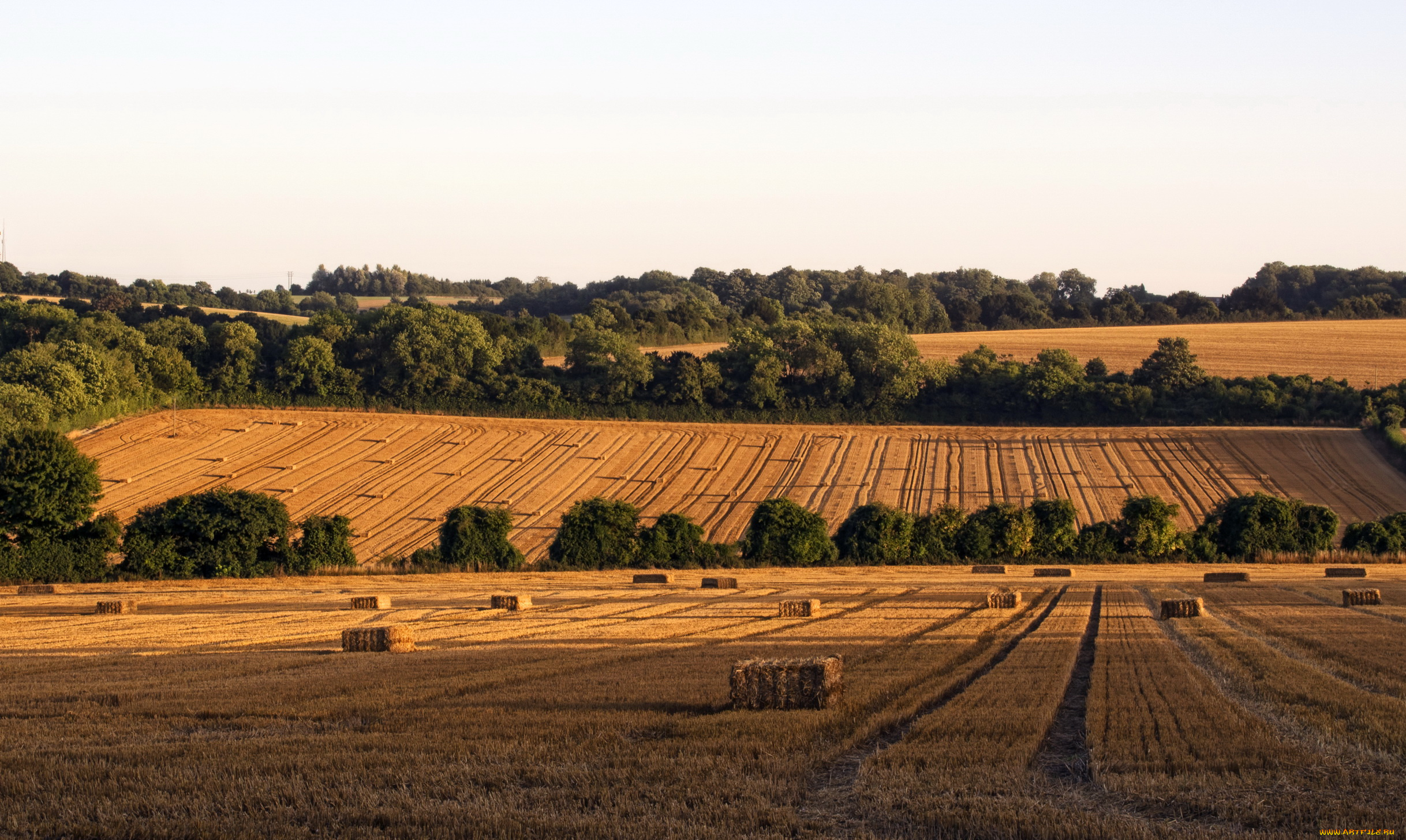 hampshire, англия, природа, поля, трава, сено