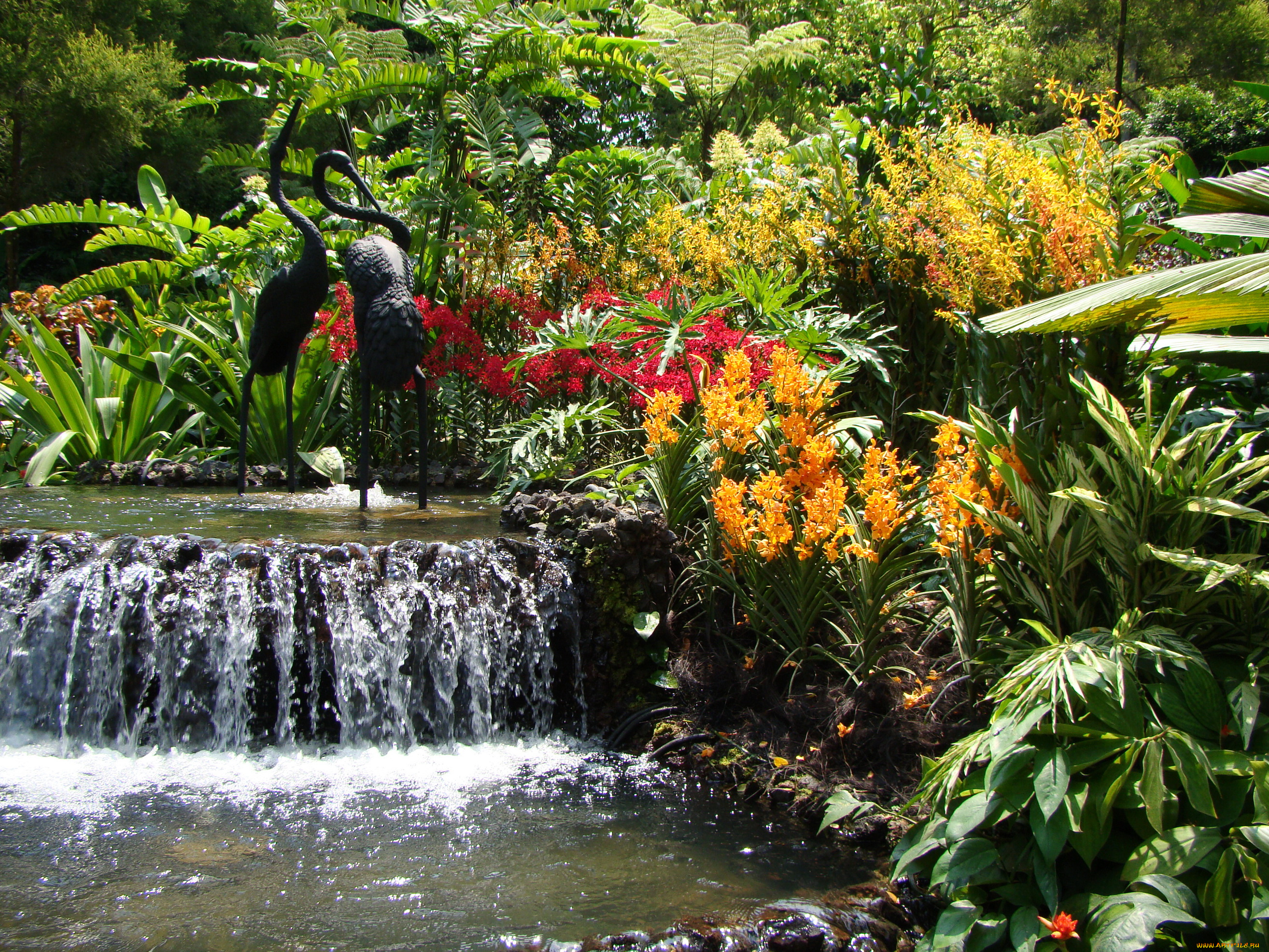 singapore, orchid, garden, природа, парк, орхидеи, водопад