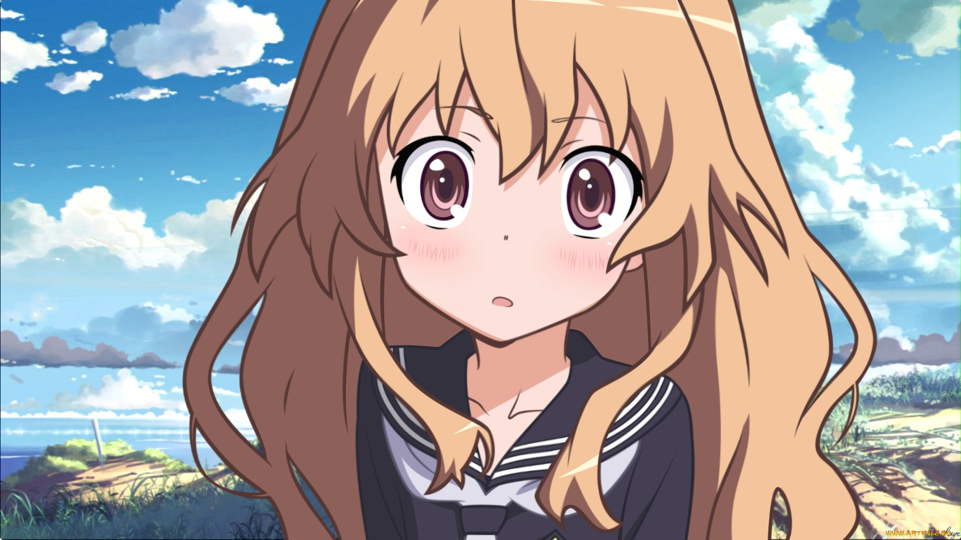 аниме, toradora, небо, девушка, взгляд, фон