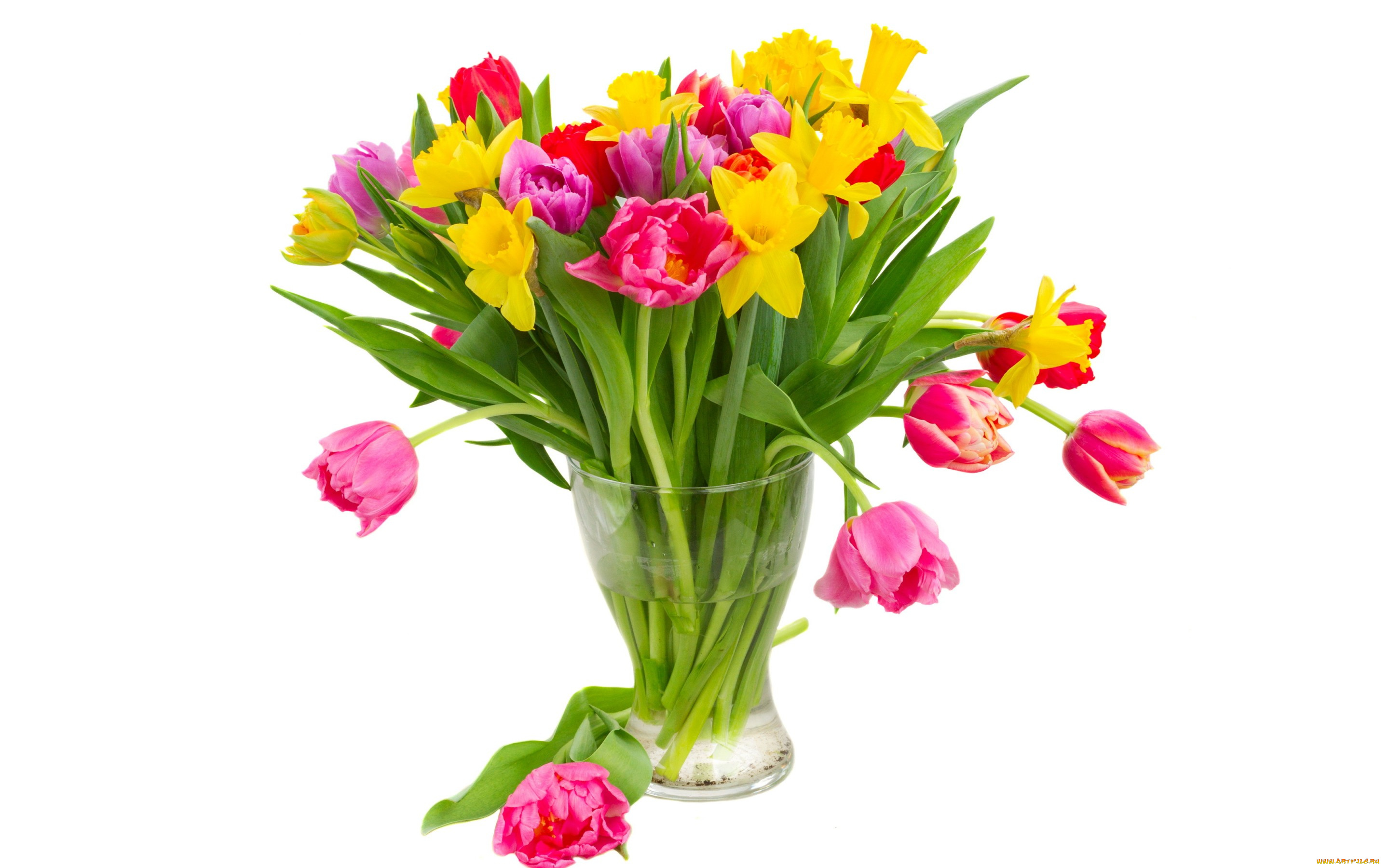 цветы, букеты, , композиции, bouquet, colorful, flowers, tulips, тюльпаны