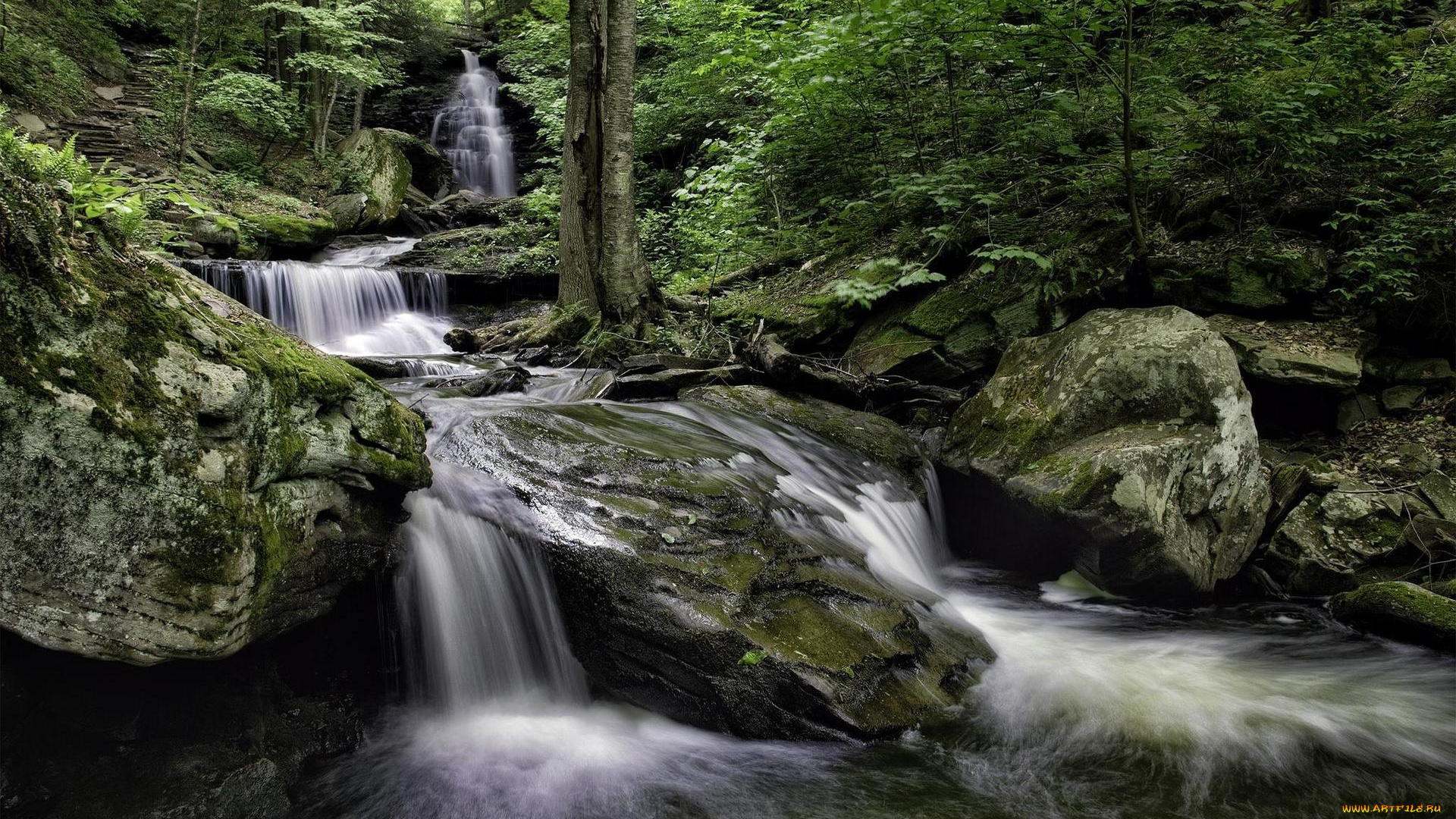 природа, водопады, pennsylvania, риккетс, глен, стейт, ricketts, glen, state, park