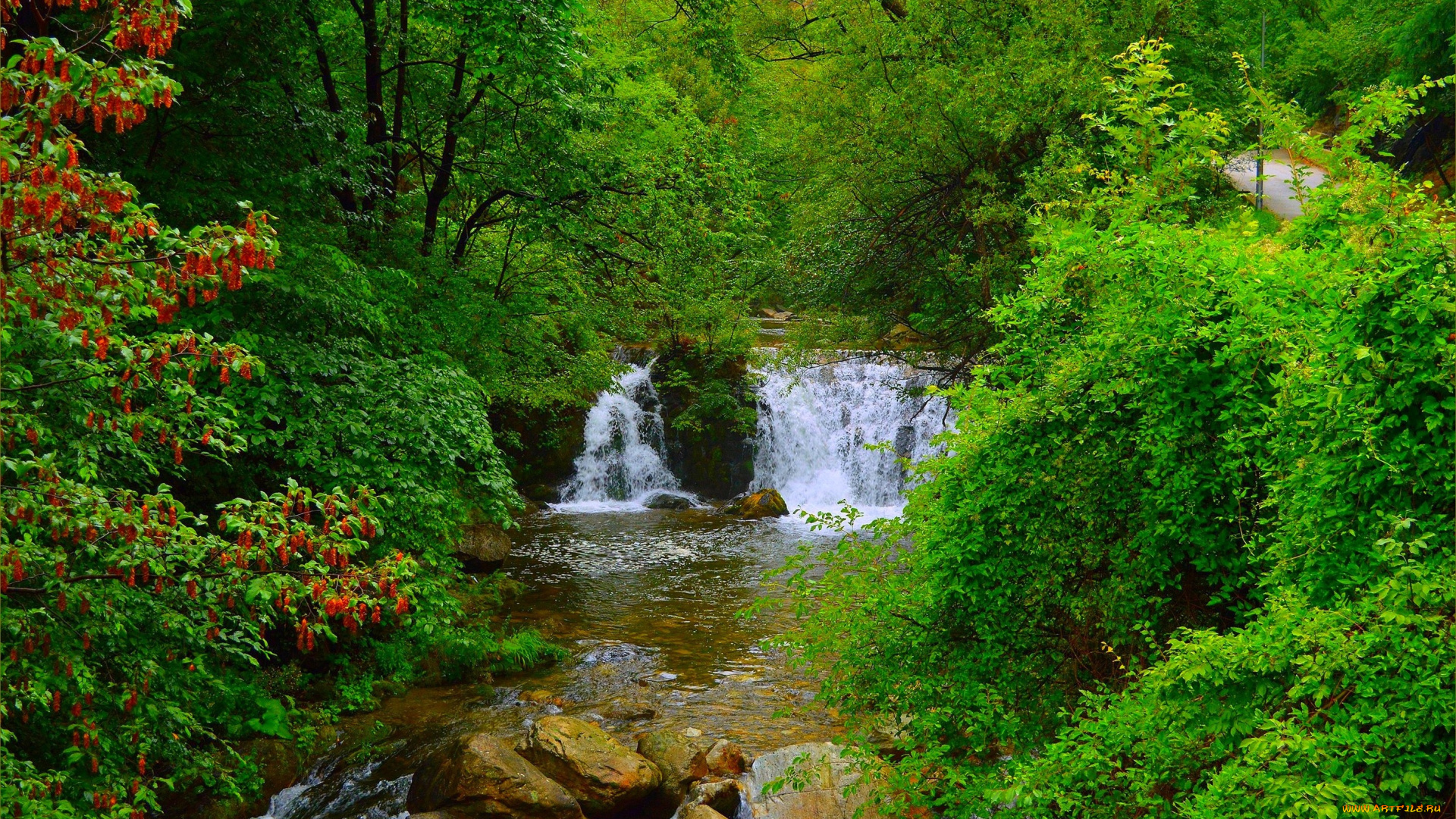 природа, водопады, водопад, деревья, лес, камни, waterfall, forest, trees