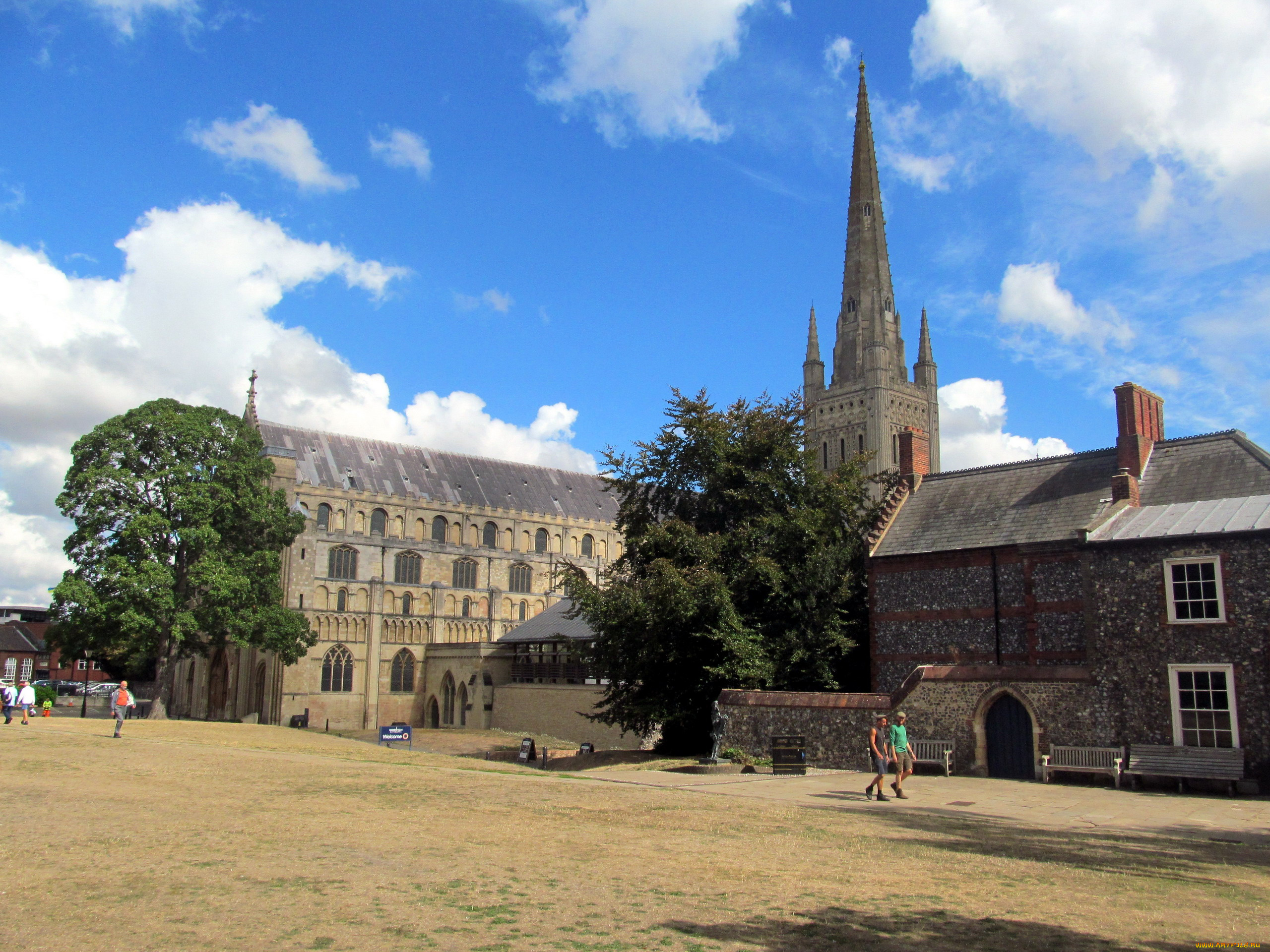 norwich, cathedral, norfolk, uk, города, -, католические, соборы, , костелы, , аббатства, norwich, cathedral