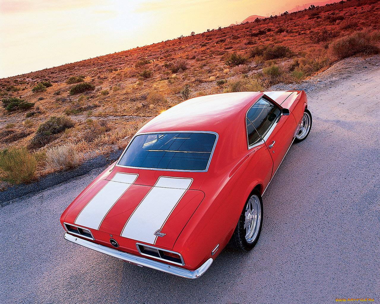 chevrolet, comaro, автомобили, camaro