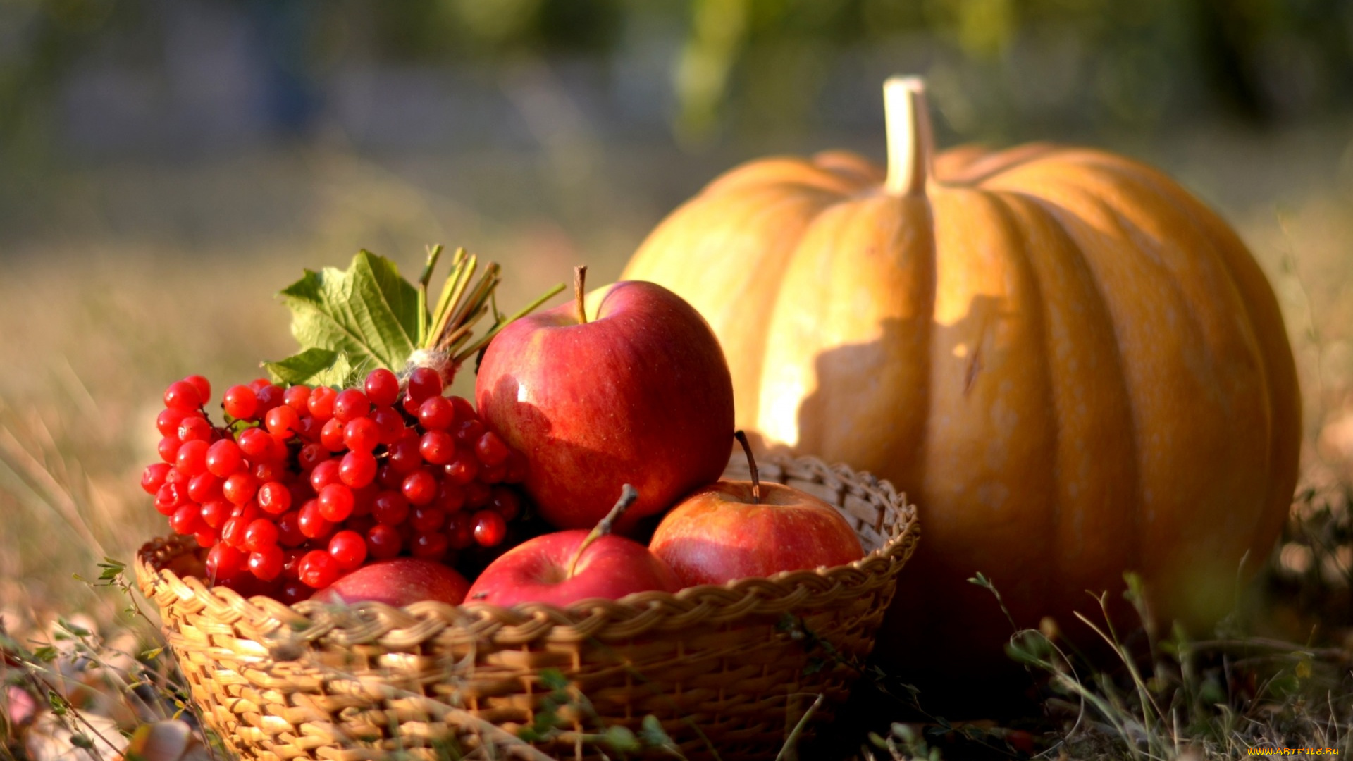 еда, фрукты, и, овощи, вместе, тыква, осень, калина, ягоды