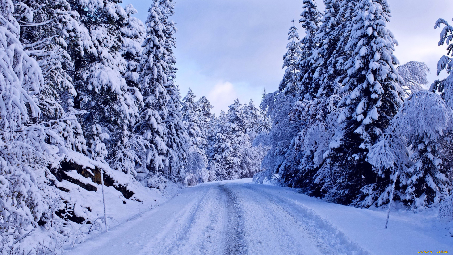 природа, зима, снег, лес, дорога, синева, ели, деревья