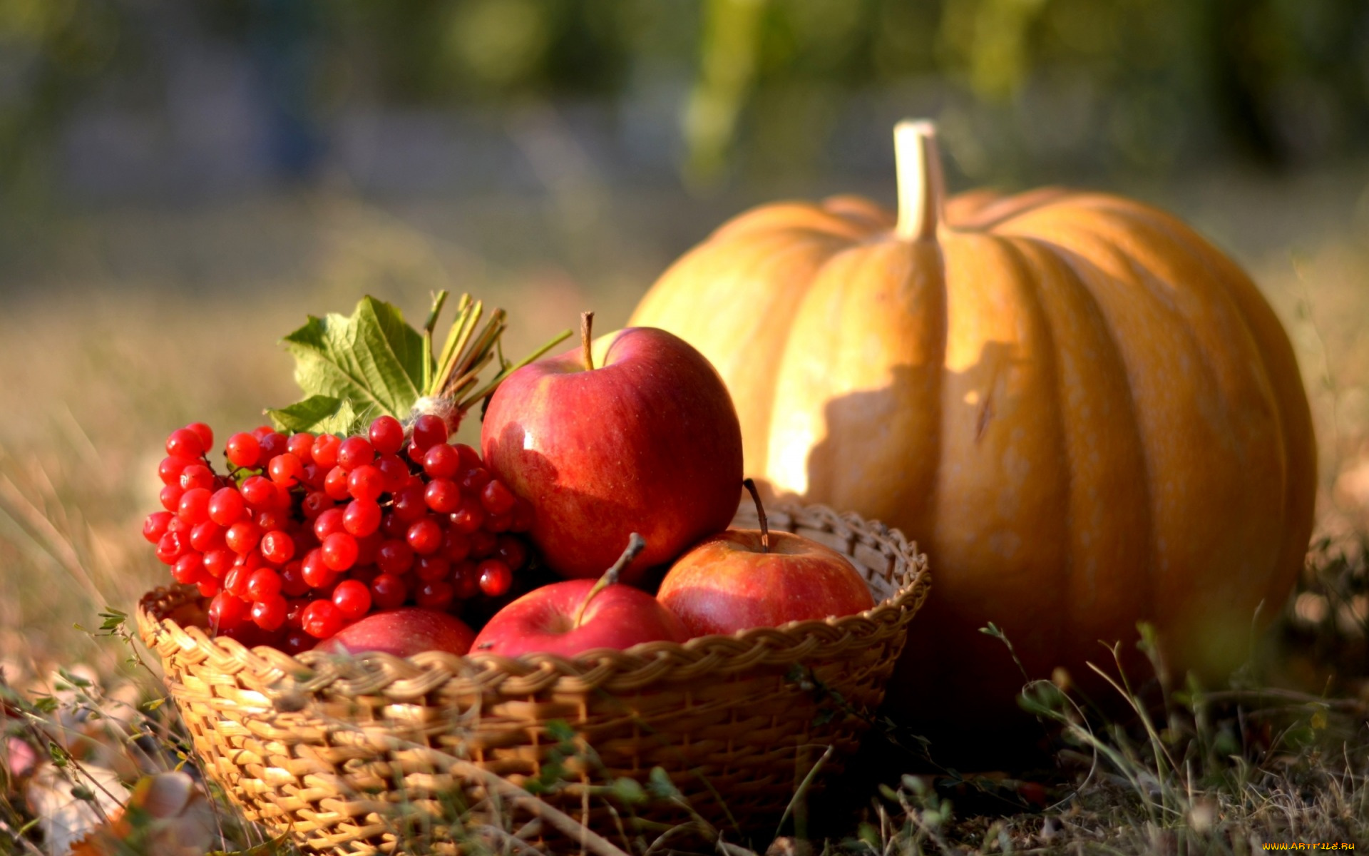 еда, фрукты, и, овощи, вместе, тыква, осень, калина, ягоды