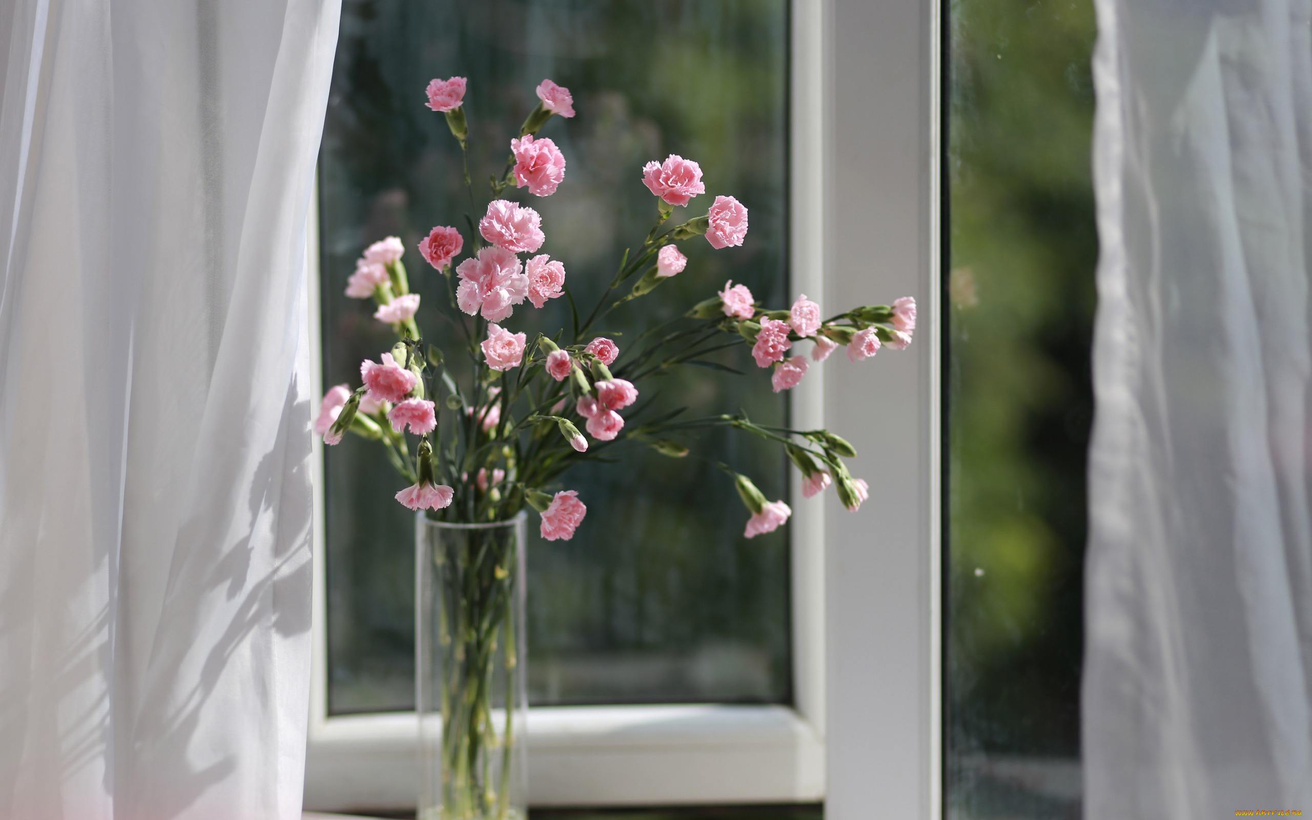 цветы, гвоздики, ваза, окно, букет