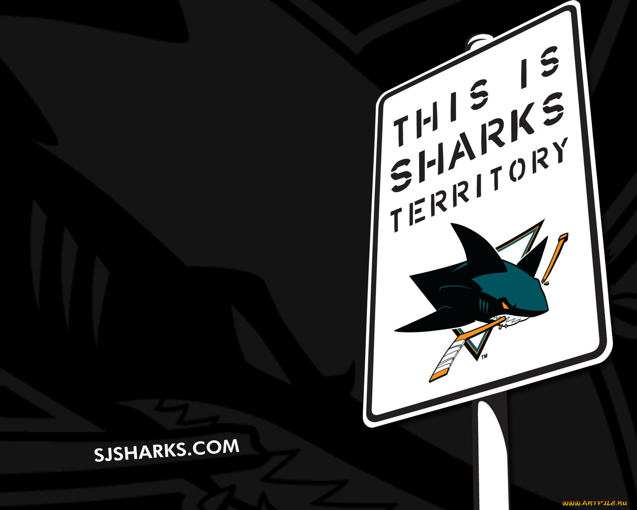 sharks, territory, спорт, эмблемы, клубов