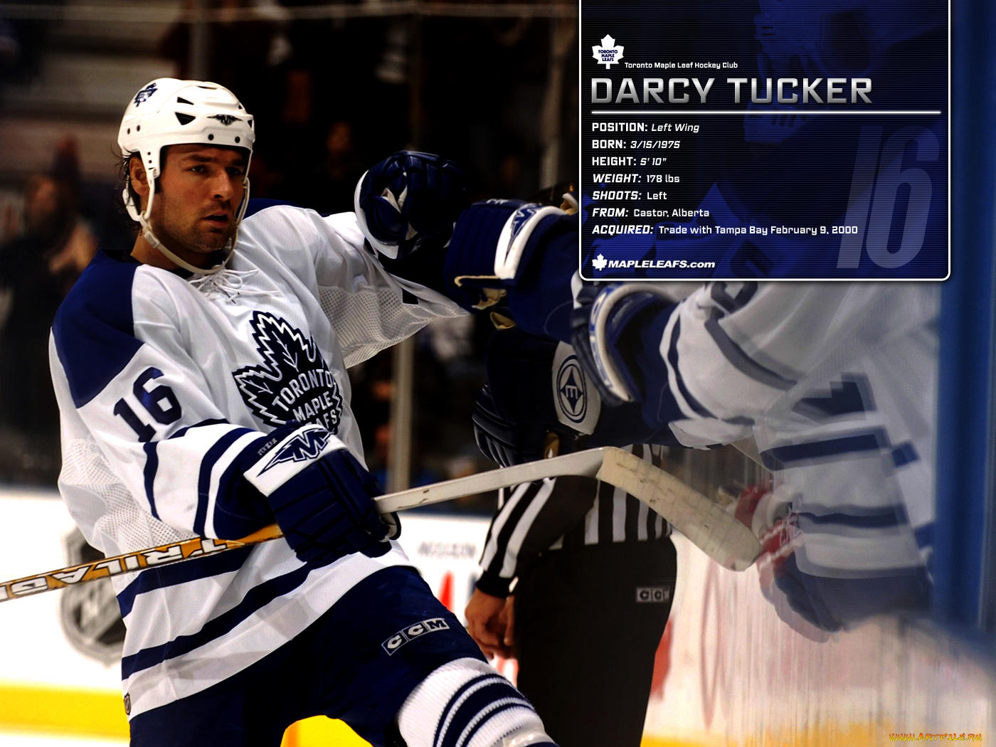 darcy, tucker, спорт, nhl