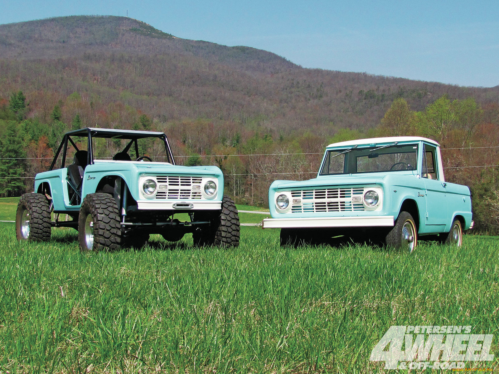 classic, bronco, автомобили, custom, pick, up