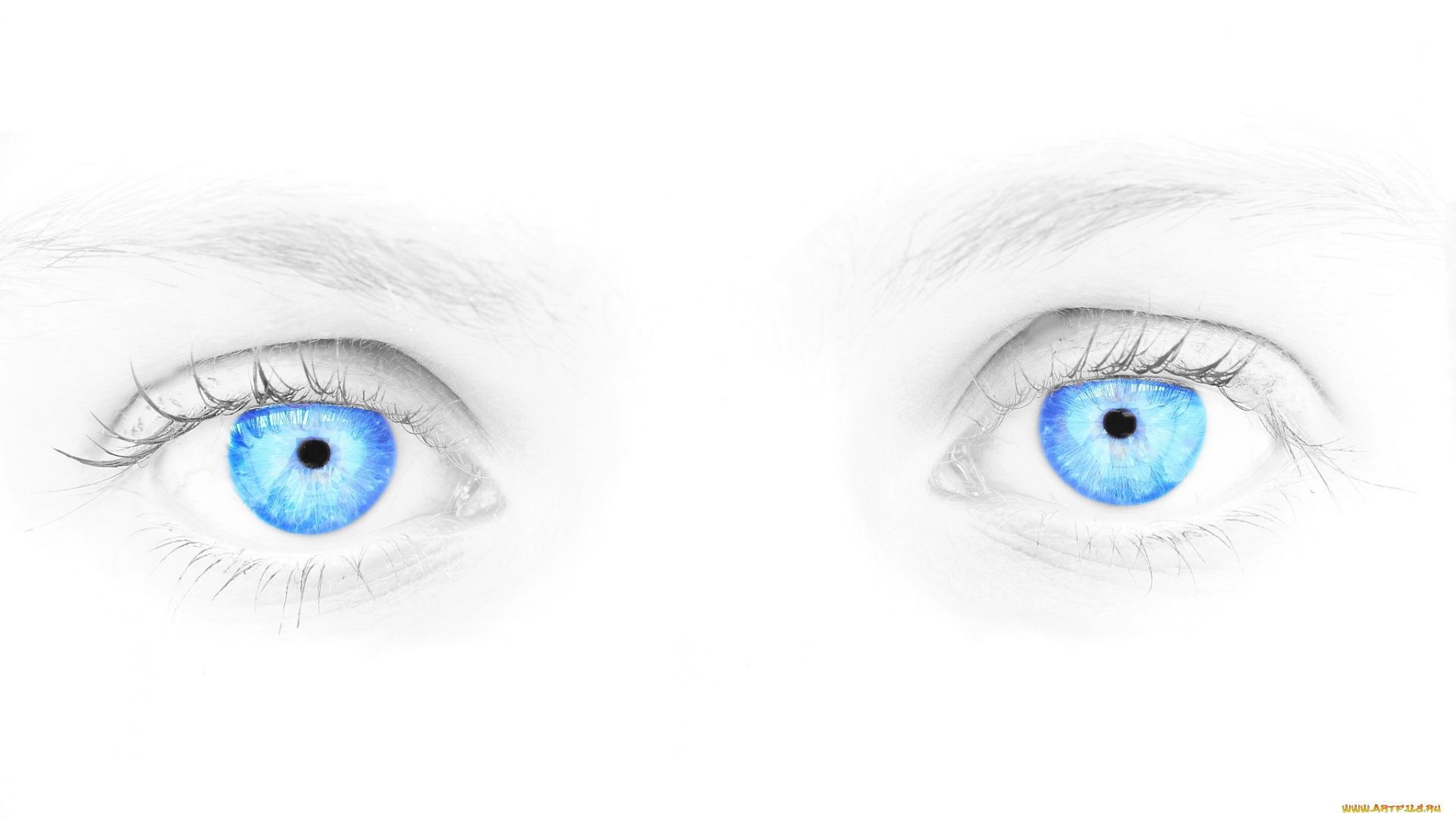 разное, глаза, голубой, взгляд