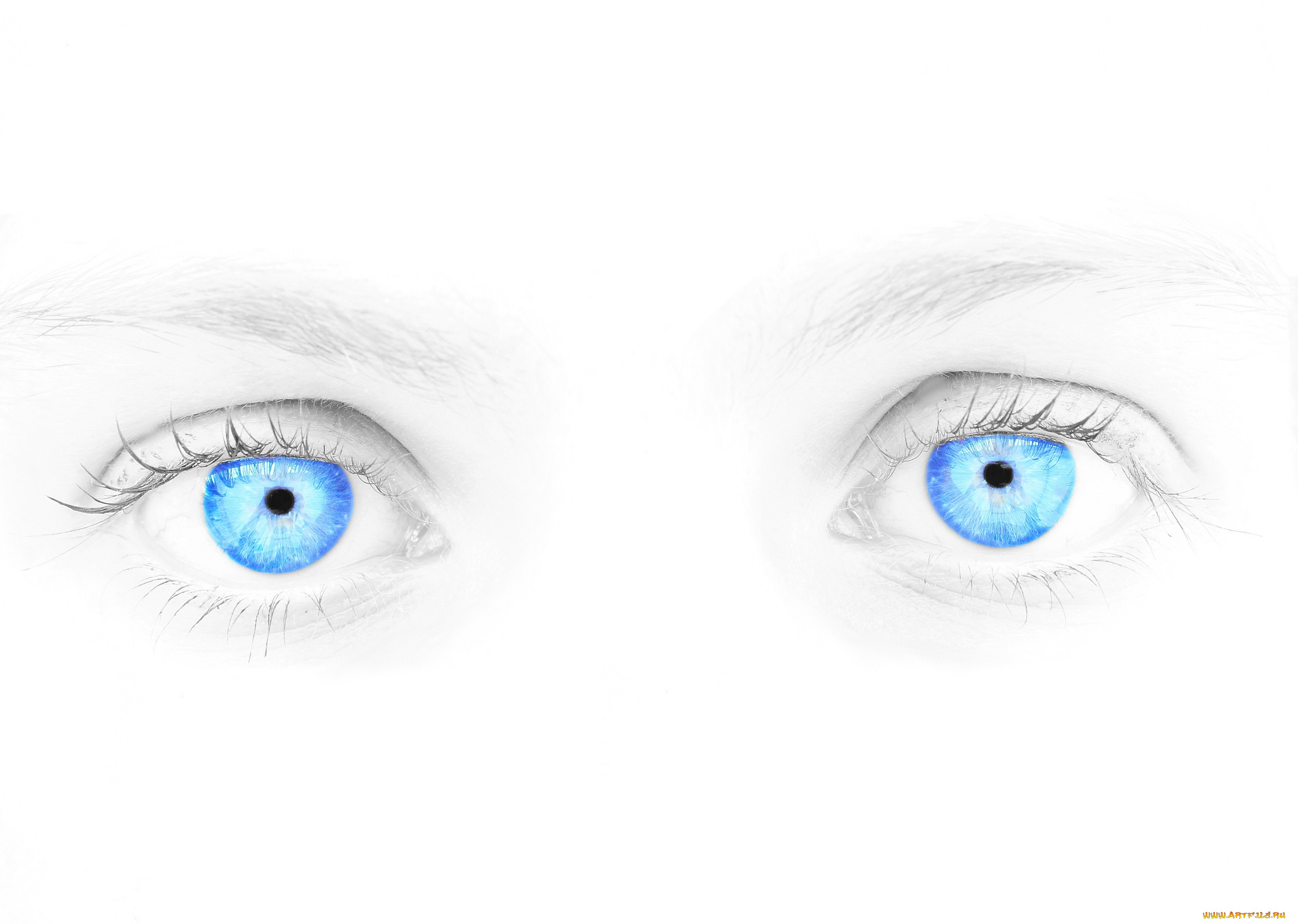 разное, глаза, голубой, взгляд