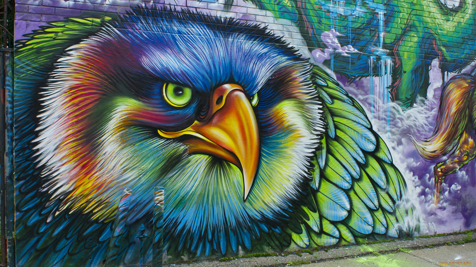 разное, граффити, птица, стена
