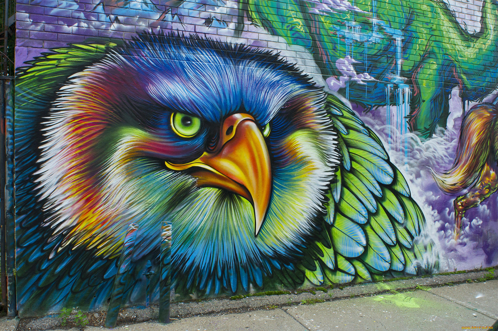 разное, граффити, птица, стена