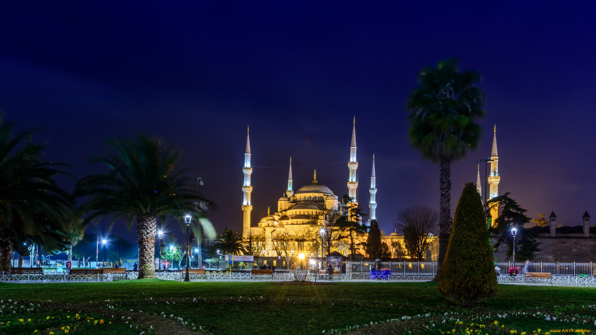 istanbul, турция, города, -, огни, ночного, города, дворец, турция, istanbul, огни, ночь, парк, пальмы