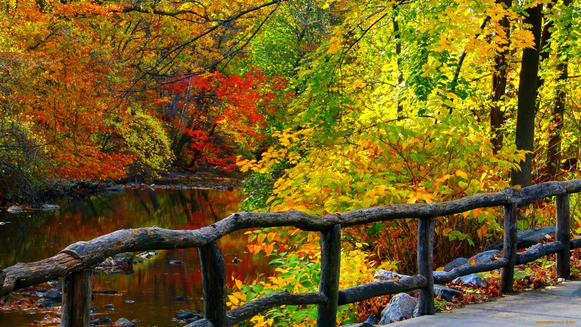 природа, реки, озера, лес, colorful, leaves, деревья, осень, листья, walk, colors, fall, autumn, forest, trees, park, water, river, nature, вода, река, горы, парк