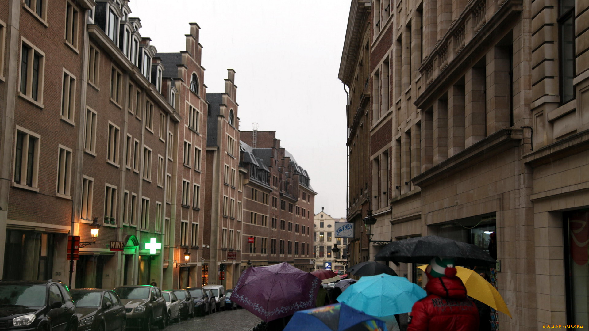 города, брюссель, , бельгия, улица, зонтики, дождь