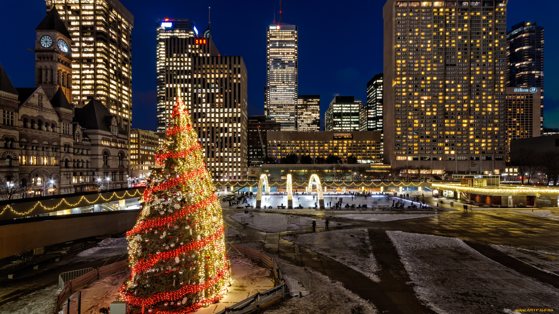 nathan, phillips, square, -, toronto, , on, города, торонто, , канада, елка, небоскребы, ночь