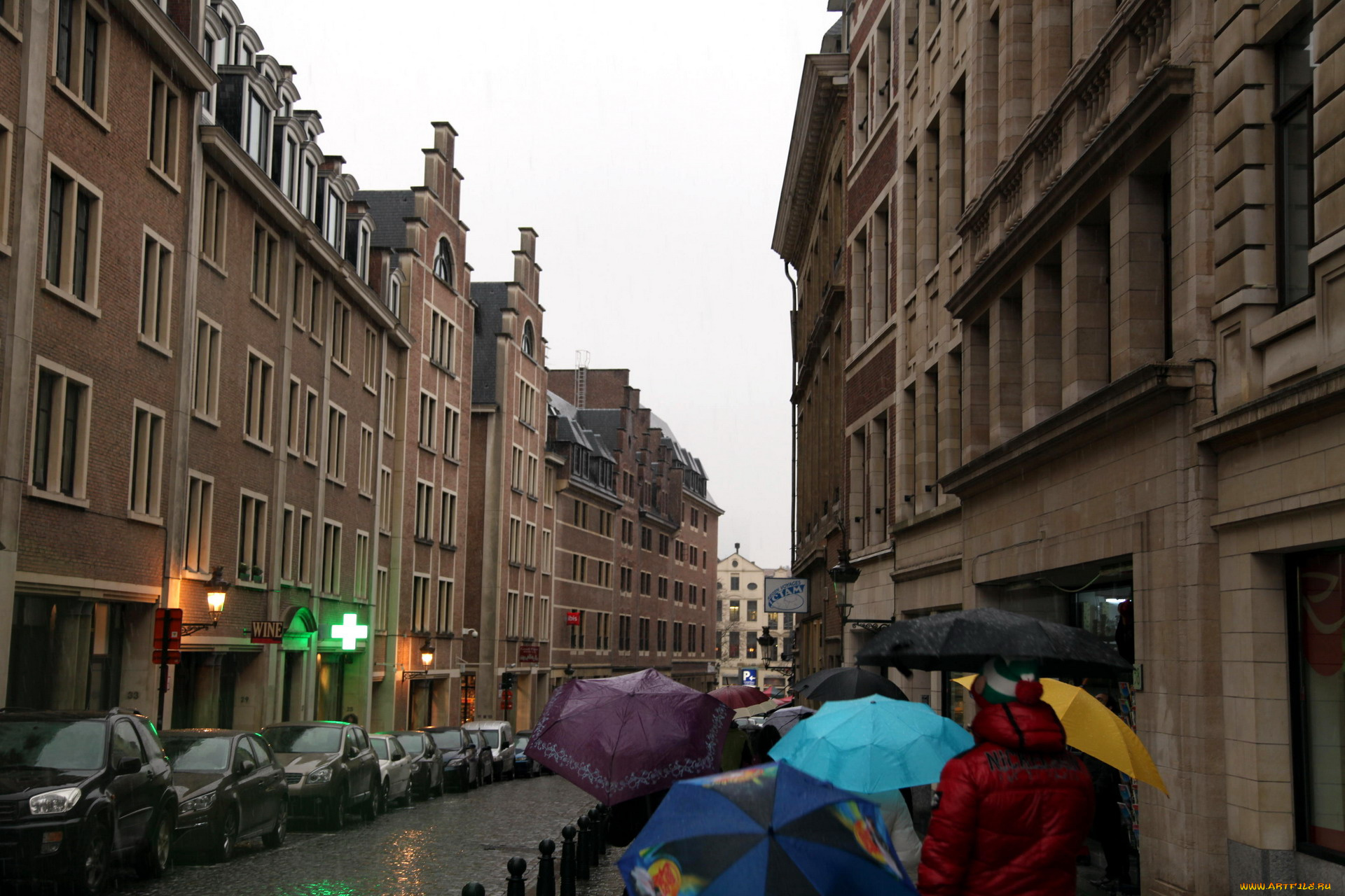 города, брюссель, , бельгия, улица, зонтики, дождь