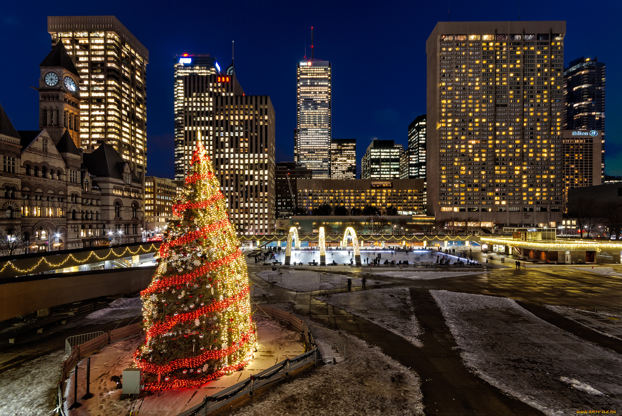 nathan, phillips, square, -, toronto, , on, города, торонто, , канада, елка, небоскребы, ночь