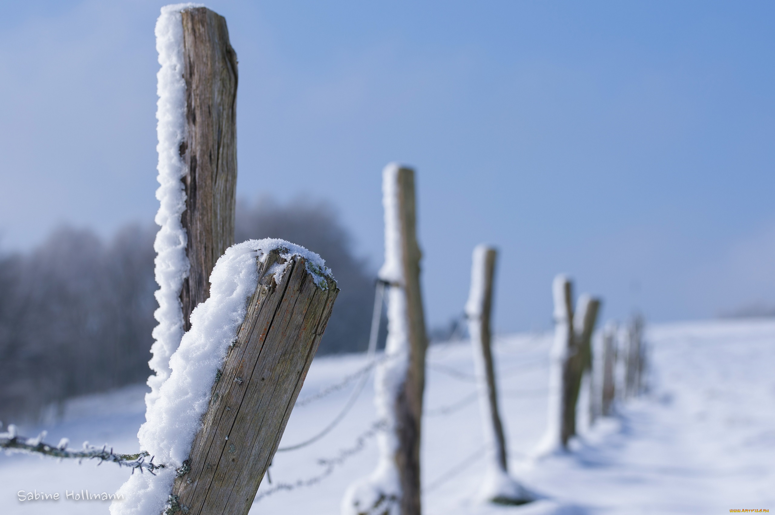 природа, зима, столб, забор, ограда, снег, проволока, макро
