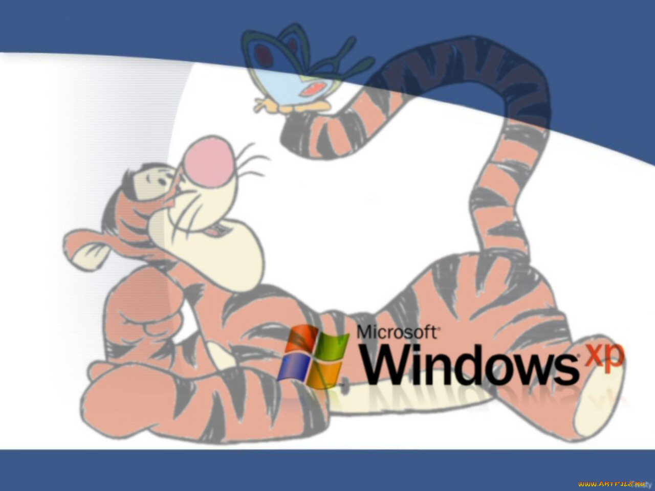 компьютеры, windows, xp