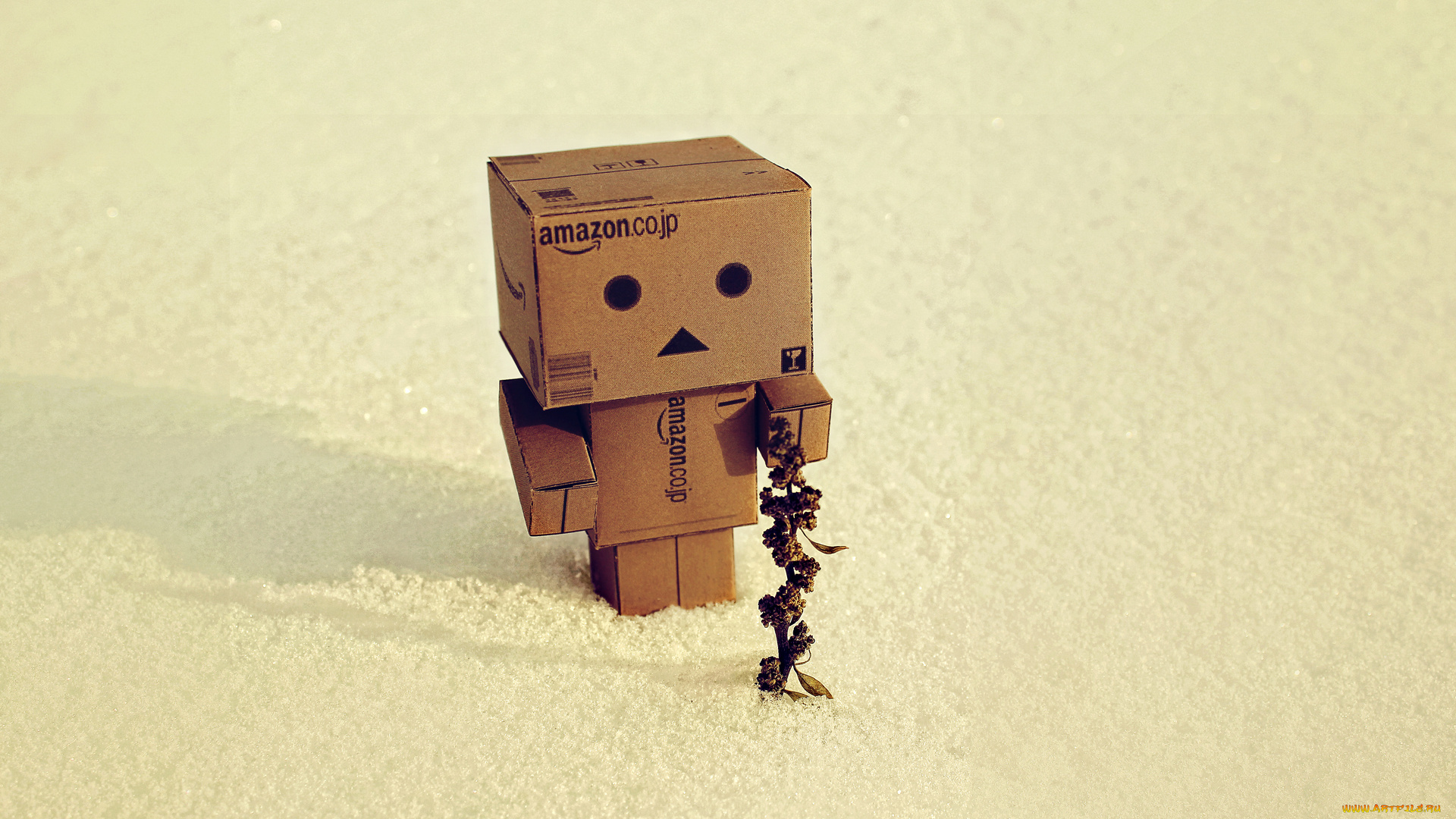 разное, данбо, danboard, amazon, коробка, danbo, зима, растение, сухое, трава, снег, коробок