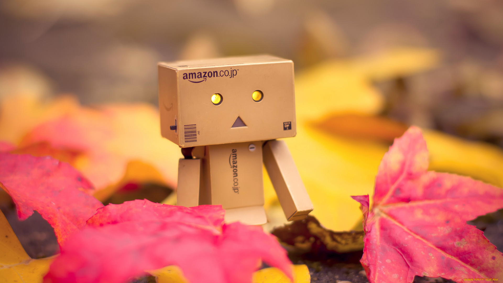 разное, данбо, danboard, осень, коробок, коробка, amazon, danbo, листья