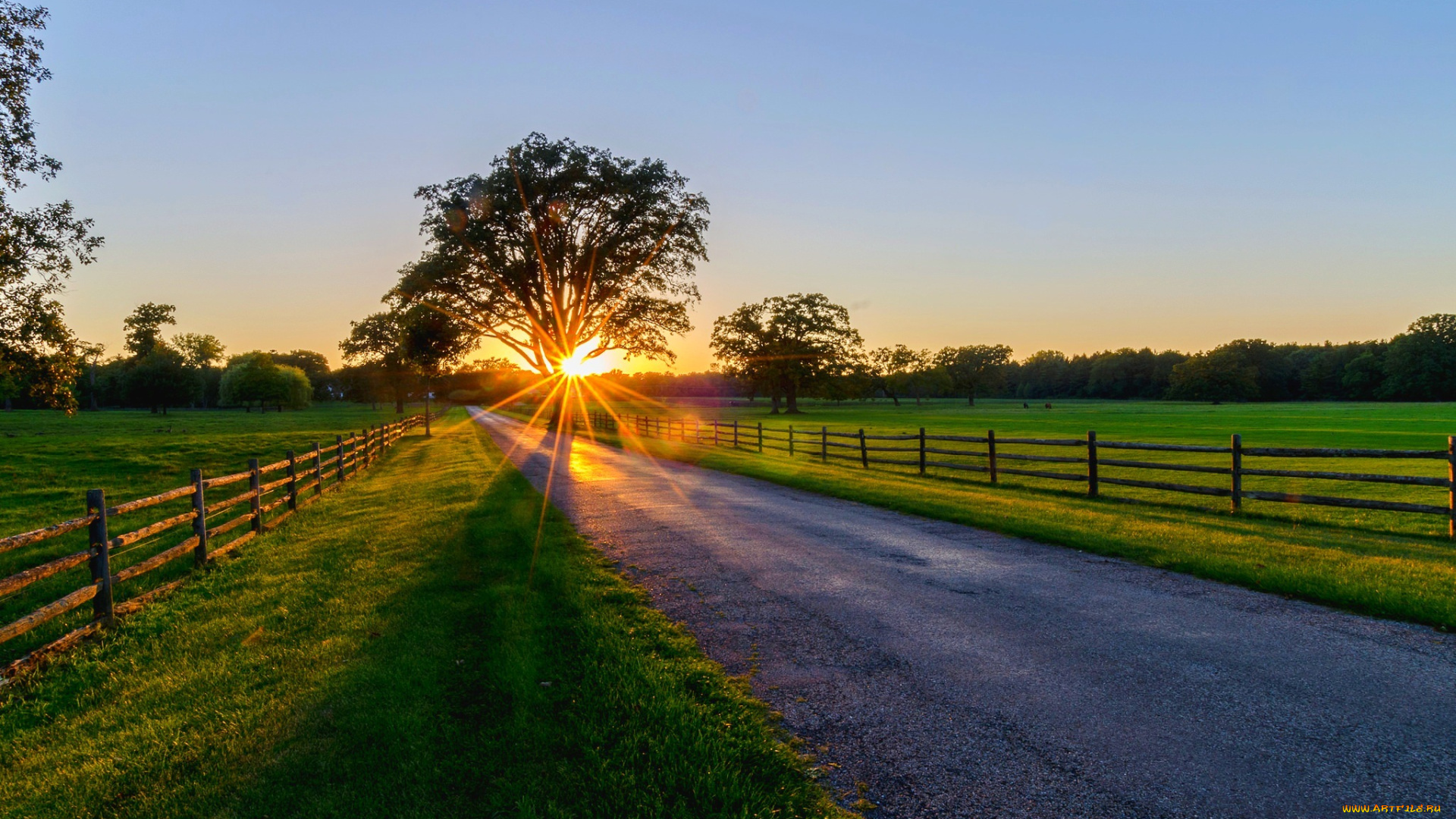 природа, дороги, path, закат, road, trees, лес, park, forest, spring, дорога, sunrise, sunset, восход, rays, деревья, весна, парк, walk, лучи, nature