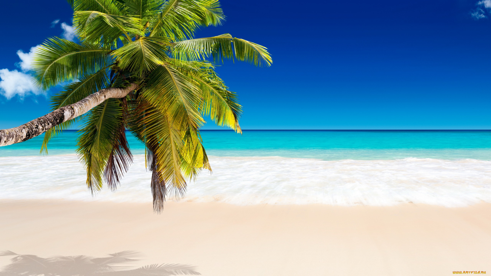 природа, тропики, palms, beach, tropical, paradise, пляж, summer, vacation, sea, пальмы, море, ocean, sunshine, берег, песок