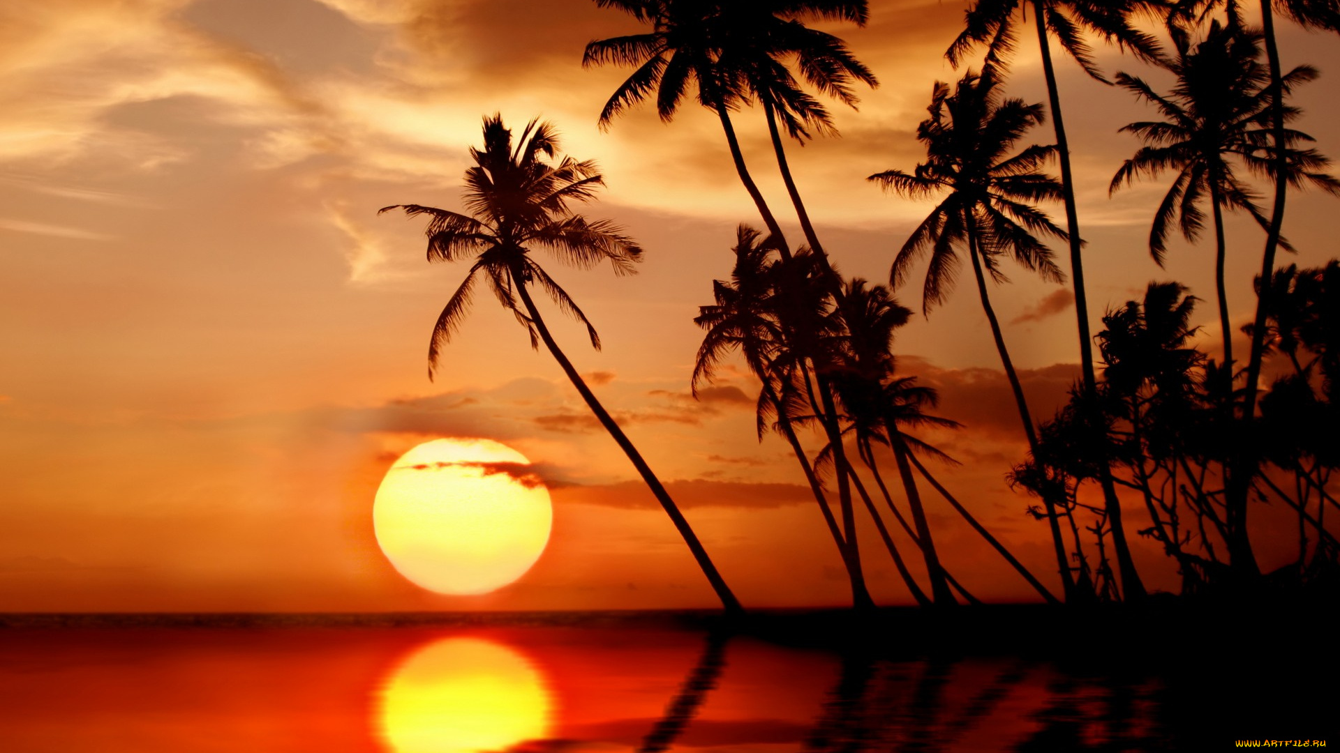 природа, восходы, закаты, paradise, tropical, тропики, закат, солнце, пальмы, sea, sunset, пляж, море, beach, palms