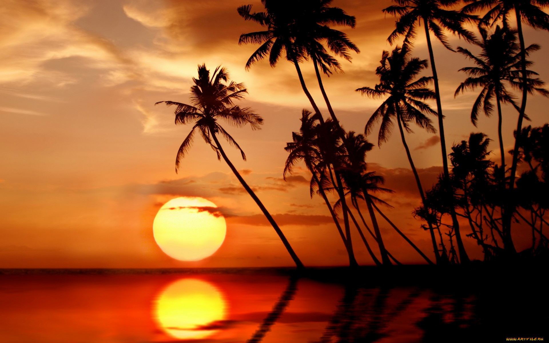 природа, восходы, закаты, paradise, tropical, тропики, закат, солнце, пальмы, sea, sunset, пляж, море, beach, palms
