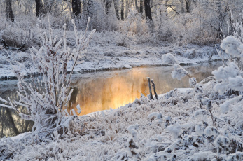 Картинка природа реки озера отражение деревья вода снег зима